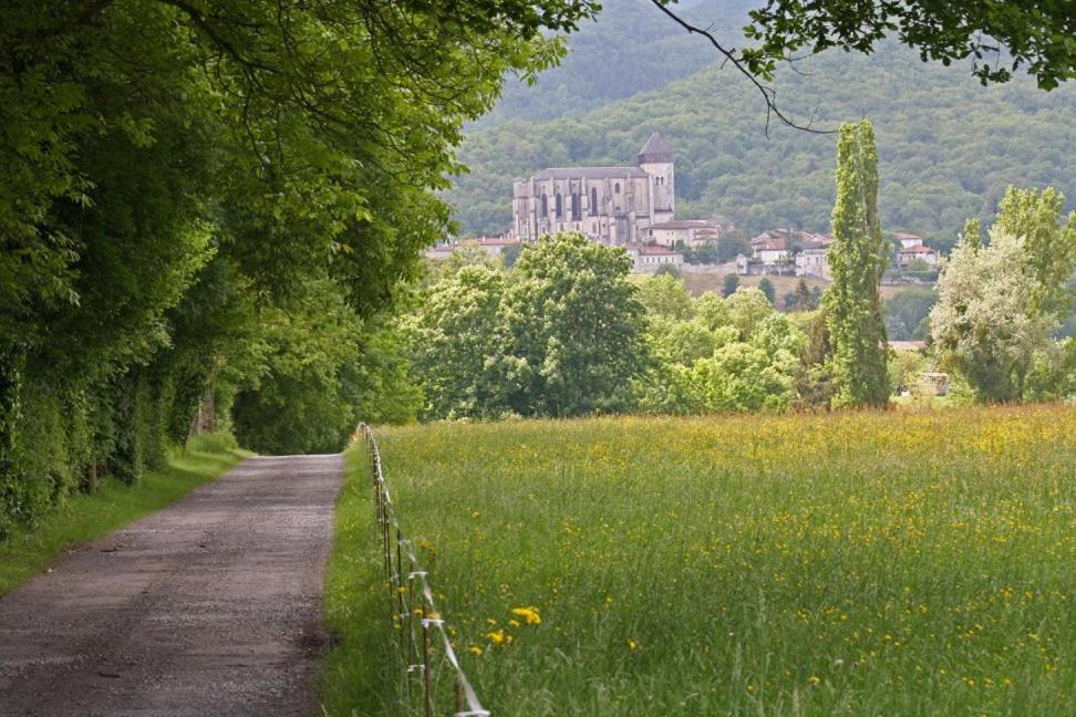 Chateau De Vidaussan Labroquere Exteriör bild